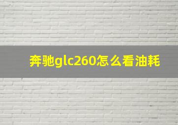 奔驰glc260怎么看油耗