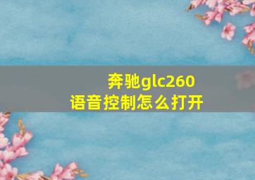 奔驰glc260语音控制怎么打开