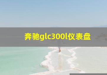 奔驰glc300l仪表盘