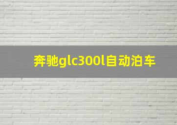 奔驰glc300l自动泊车