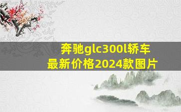 奔驰glc300l轿车最新价格2024款图片