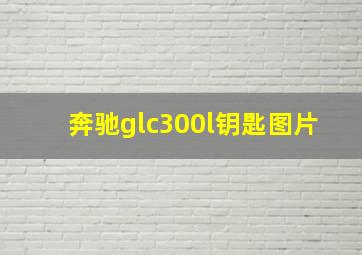 奔驰glc300l钥匙图片