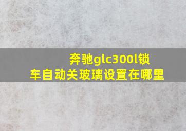 奔驰glc300l锁车自动关玻璃设置在哪里