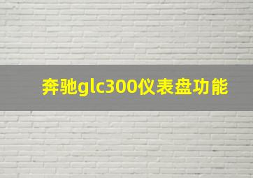 奔驰glc300仪表盘功能