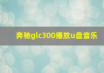 奔驰glc300播放u盘音乐