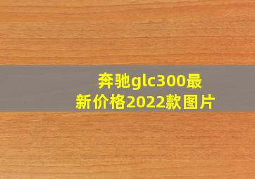 奔驰glc300最新价格2022款图片