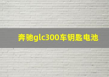 奔驰glc300车钥匙电池