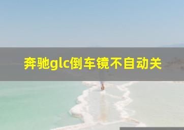 奔驰glc倒车镜不自动关