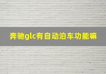 奔驰glc有自动泊车功能嘛