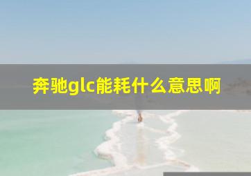 奔驰glc能耗什么意思啊