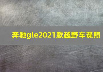 奔驰gle2021款越野车谍照