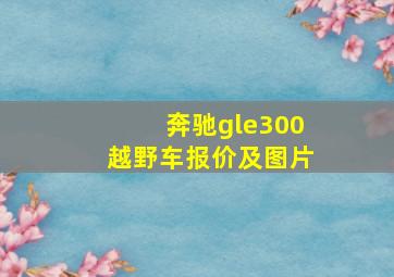 奔驰gle300越野车报价及图片