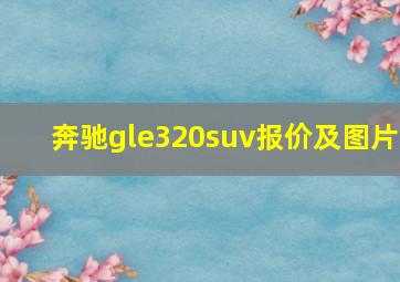 奔驰gle320suv报价及图片