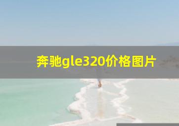 奔驰gle320价格图片