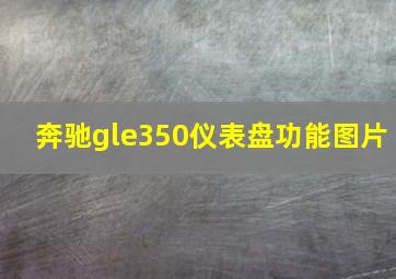 奔驰gle350仪表盘功能图片