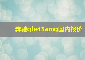 奔驰gle43amg国内报价