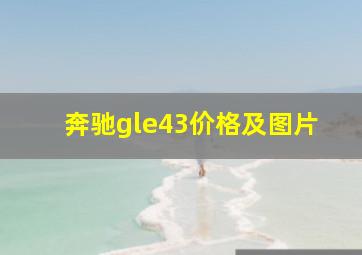 奔驰gle43价格及图片