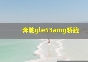 奔驰gle53amg轿跑