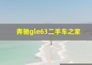 奔驰gle63二手车之家