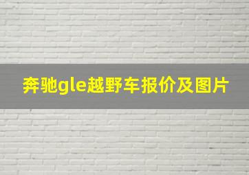 奔驰gle越野车报价及图片