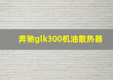 奔驰glk300机油散热器