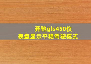 奔驰gls450仪表盘显示平稳驾驶模式