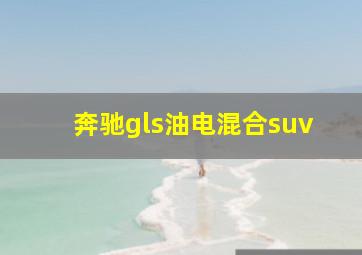 奔驰gls油电混合suv