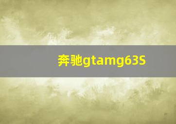 奔驰gtamg63S