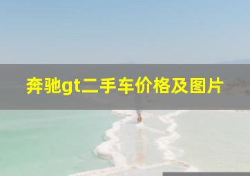 奔驰gt二手车价格及图片