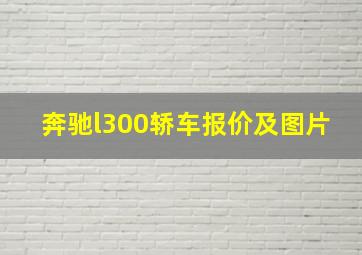 奔驰l300轿车报价及图片