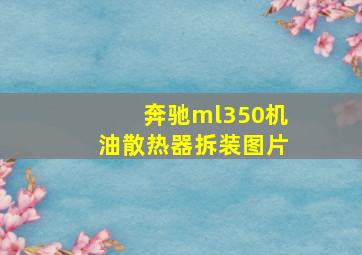 奔驰ml350机油散热器拆装图片