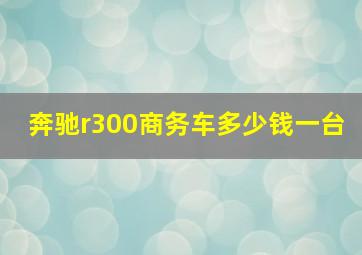 奔驰r300商务车多少钱一台