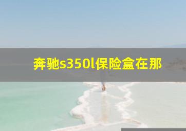 奔驰s350l保险盒在那