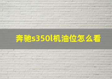 奔驰s350l机油位怎么看