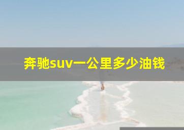 奔驰suv一公里多少油钱