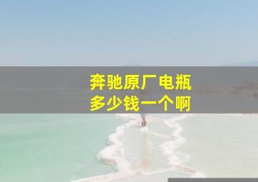 奔驰原厂电瓶多少钱一个啊