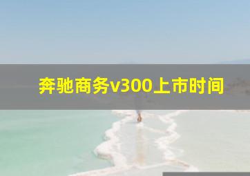 奔驰商务v300上市时间