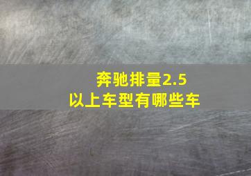 奔驰排量2.5以上车型有哪些车