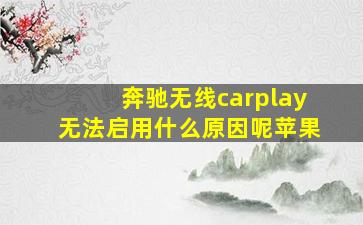 奔驰无线carplay无法启用什么原因呢苹果