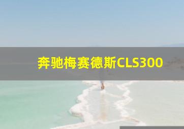 奔驰梅赛德斯CLS300