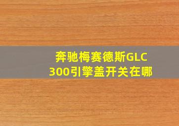 奔驰梅赛德斯GLC300引擎盖开关在哪