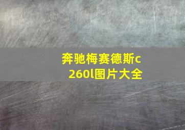 奔驰梅赛德斯c260l图片大全