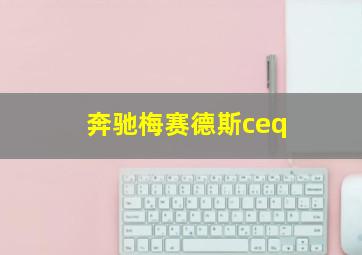 奔驰梅赛德斯ceq