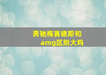 奔驰梅赛德斯和amg区别大吗