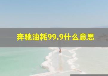 奔驰油耗99.9什么意思