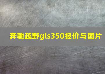 奔驰越野gls350报价与图片