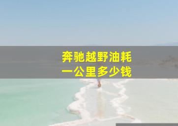 奔驰越野油耗一公里多少钱