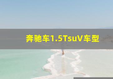 奔驰车1.5TsuV车型