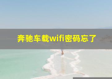 奔驰车载wifi密码忘了