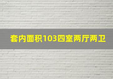 套内面积103四室两厅两卫